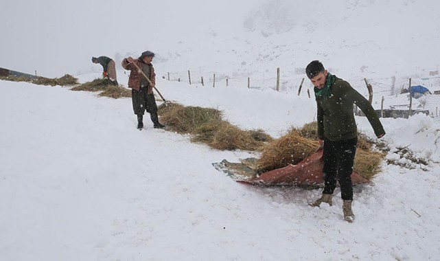 Etkili olan kar, hayvanlarını köylere indiren besicilerin işini zorlaştırdı