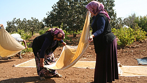 Ovacık Köyünde Tatlı Telaş ‘Bağ Bozumu’