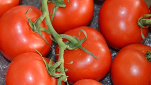 Domates İthalatı Yasağını Kaldırdı