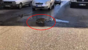 Trafiği durdurdu