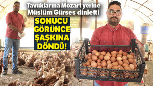 Sadece Müslüm Baba'yı dinletti