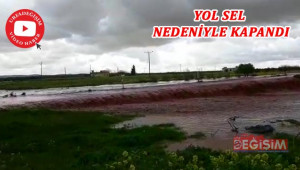 Sel suları, tarım arazilerine büyük zarar verdi