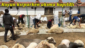 Urfalı işçi gurbette can verdi