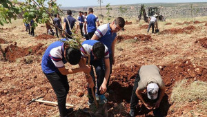 100.yıl anısına 100 fidan