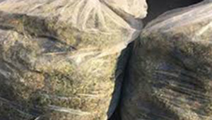 25 kilo... sınırda yakalandı