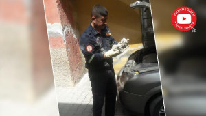 Araç motoruna sıkışan kedi kurtarıldı