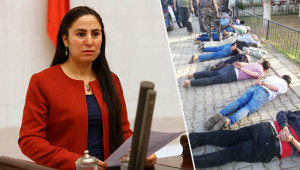 Ayşe Sürücü de konuyu Meclise taşıdı