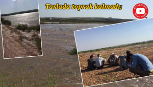 Çiftçi kara kara düşündü