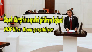 Urfalı Vekil ile HDP arasında Kürtçe diyalogu