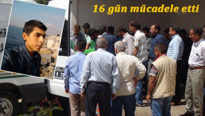 Yaşam mücadelesini kaybetti