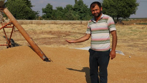 30 ton buğday ile birlikte kayıplara karıştı