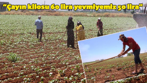 50 derece altında 50 lira yevmiye