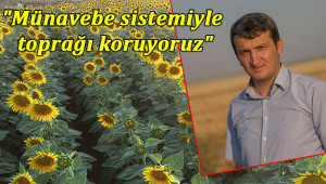 Ceylanpınar'da toprağı "ayçiçeği" koruyor