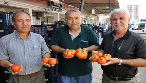 Salça yapmanın tam zamanı