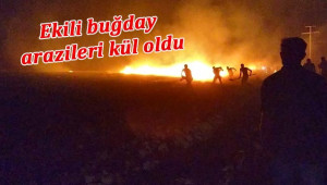 Yıldırım düştü, Tigem arazileri yandı