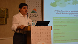 'Bölgeye özgü sanayi kolları ile rekabet artar’