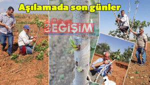 'Daha iyi bir verim, kaliteli aşı gerektirir'