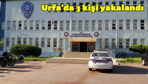 İnsan kaçakçılarına darbe: 55 gözaltı