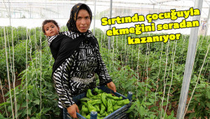 Mevsimlik işçi hibe desteğiyle üretici oldu