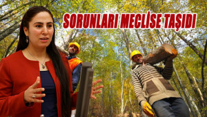 'Orman işçilerin çalışma süreleri sınırlandırıldı'