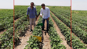 Suruç'ta çiftçiler bilgilendirildi