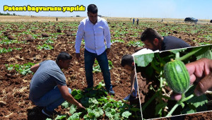 Viranşehirlilerden "şelengo" için patent başvurusu