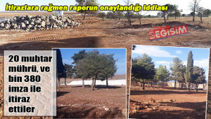 600 dönümlük orman kaldırılacak mı?