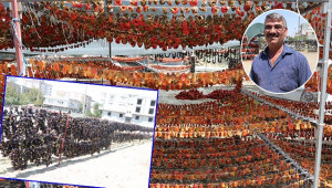 600 ton biber ve patlıcan kurutuyorlar