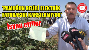 'Fiyat belirsizliği çiftçiye darbedir'