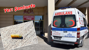 Kazara kardeşini silahla vurdu