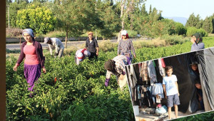 Mevsimlik tarım işçileri insanca yaşamak istiyor