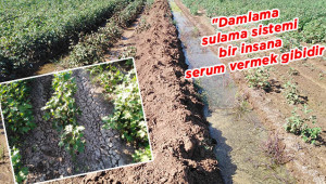 Salma sulama toprağa ve ürüne zarar veriyor