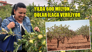 Tarlaya böcek salımı ilaç kullanımını azaltıyor