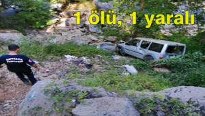Ticari Araç Şarampole Uçtu