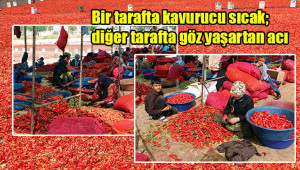 Urfa'da acının serüveni başladı