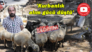 Yem fiyatı, kurbanlık fiyatını yükseltiyor