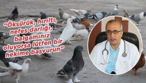 'Beslediğiniz kuş katiliniz olabilir'