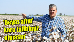 'Beyaz altın' kara talihimiz olmasın'