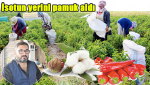 Beyaz altın, kırmızı altını oluşturuyor!