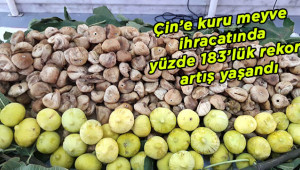 Çin'e rekor incir ihracatı gerçekleşti