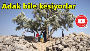 Dilek diliyorlar; bez bağlıyorlar