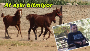 Felçli kaldı ama atlardan vazgeçmedi