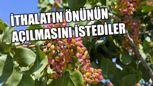 Fıstık üreticilerini kızdıracak açıklama