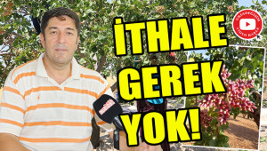 İthale gerek yok!