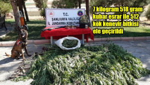 Jandarma şüpheliyi aramaya devam ediyor