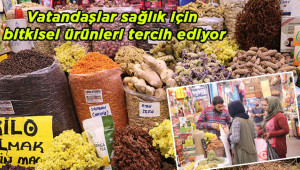 Kış hastalıklarına karşı bitkisel mücadele