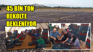 Şifa kaynağının yapımına başlandı