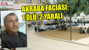Kuzenlerine ateş etti; ardından intihar etti