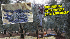 Masraflar yüzde 40 arttı, ama...