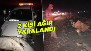 Otomobil at arabasına çarptı